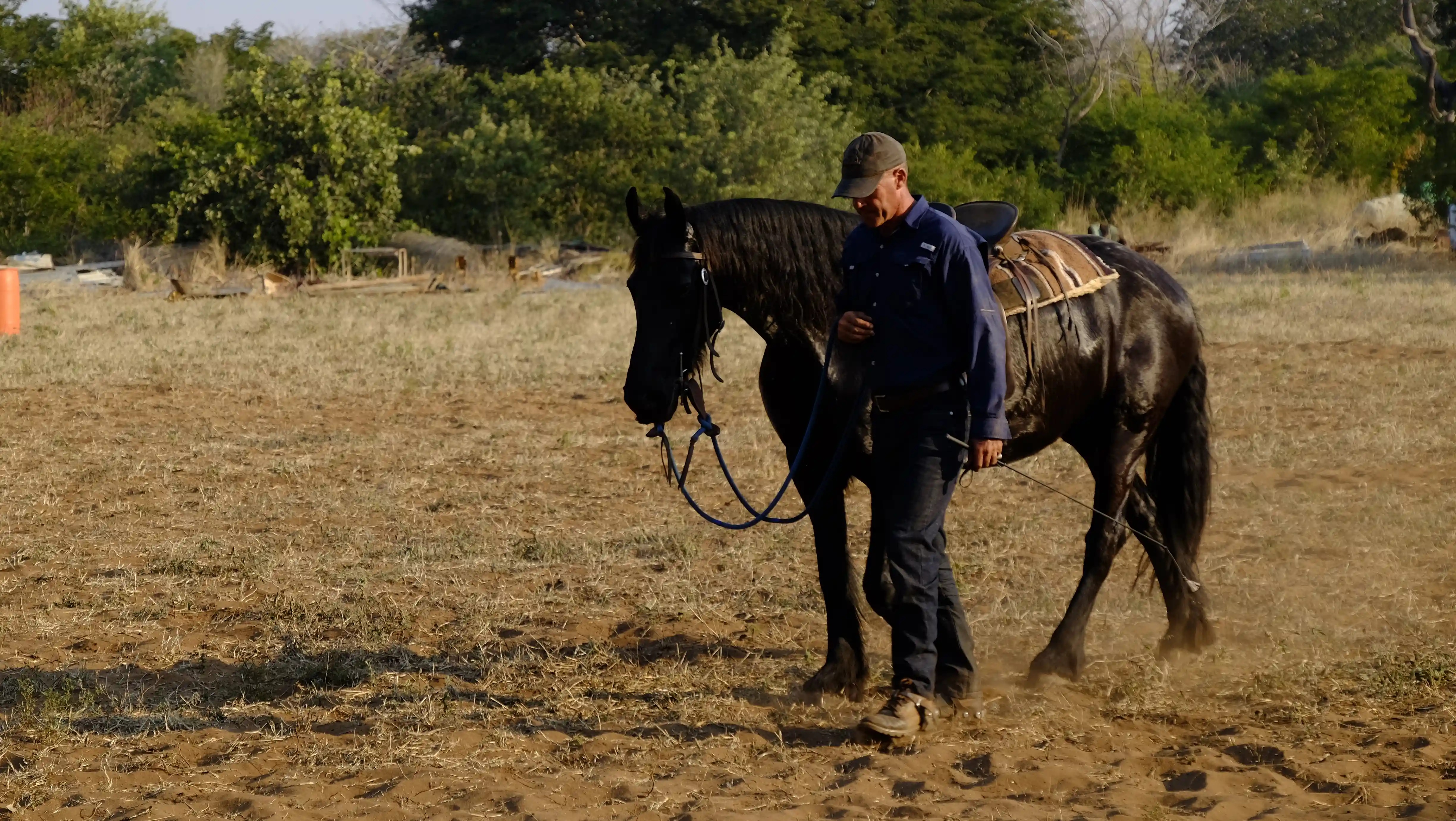 Kruger Snyman leading and walking a horse.