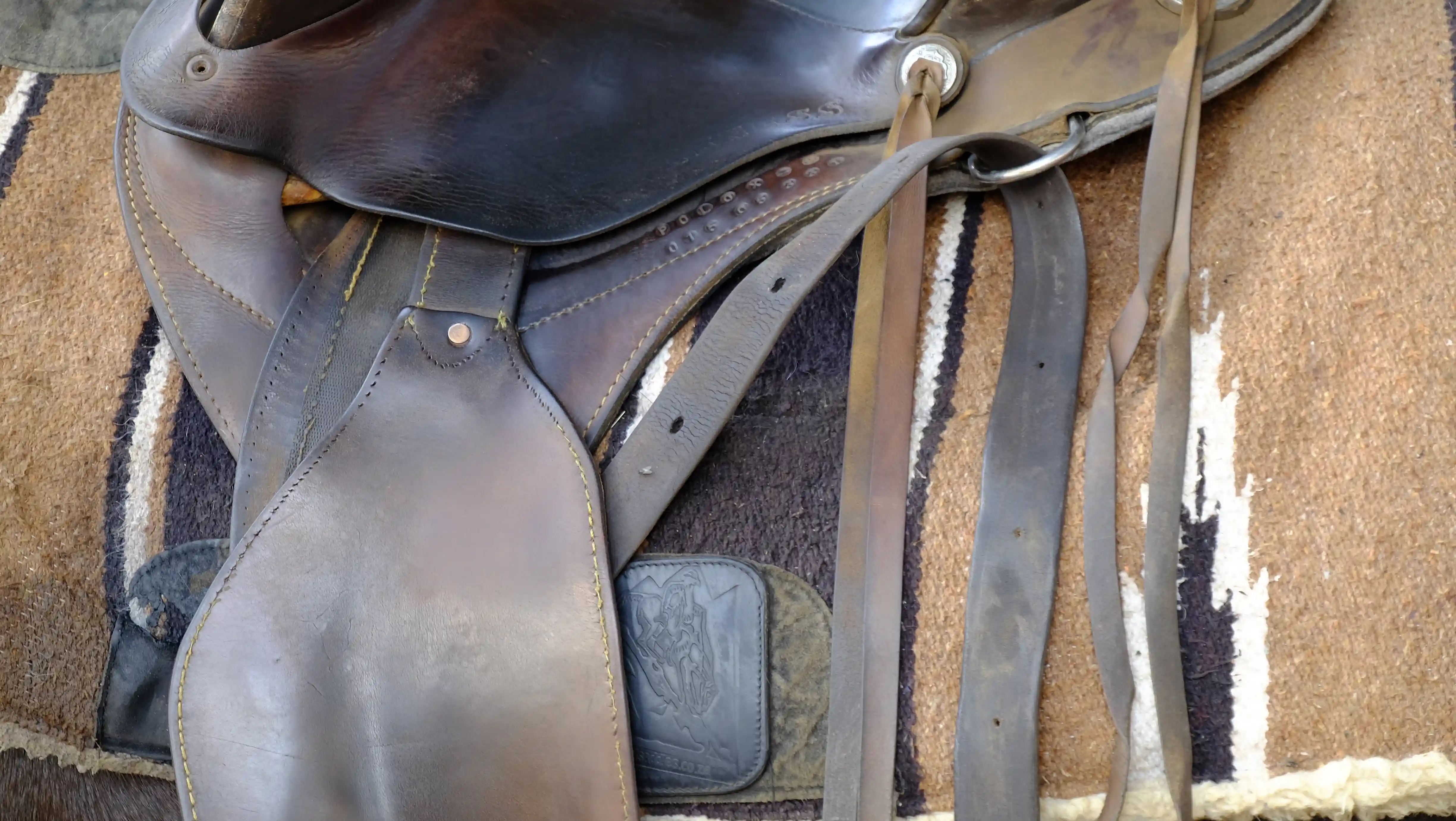 Horse saddle.