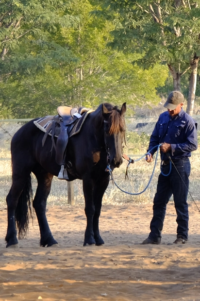 Kruger Snyman riding a horse.