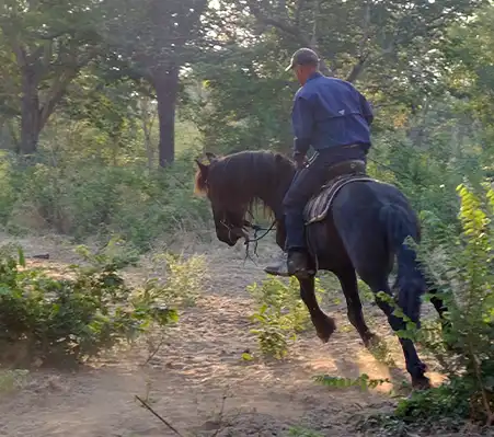 Kruger Snyman riding a horse.