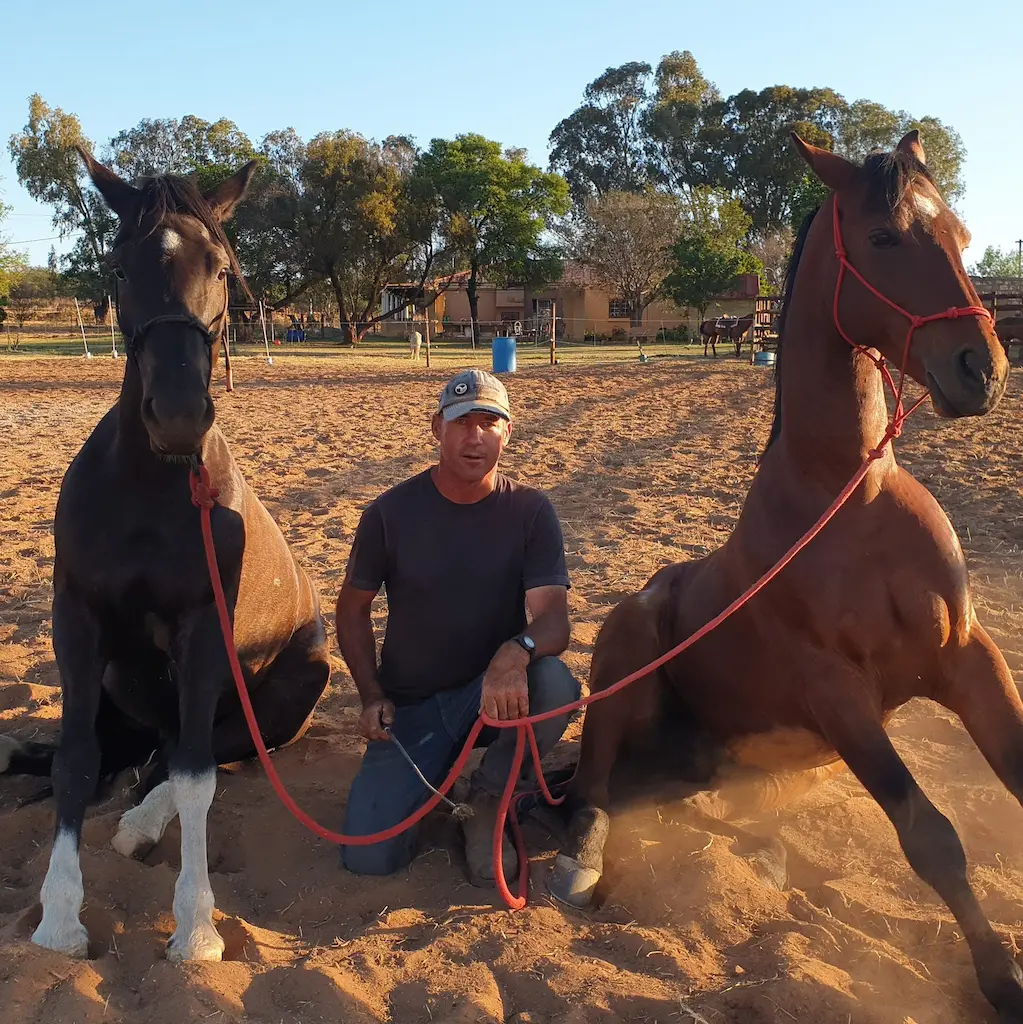 Kruger Snyman sitting with two horses.